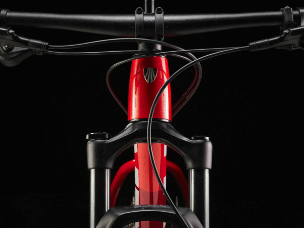 descarga (59) BICICLETA TREK MTB PROCALIBER 6 DEORE 12V. H. ROCKSHOX JUDY 29